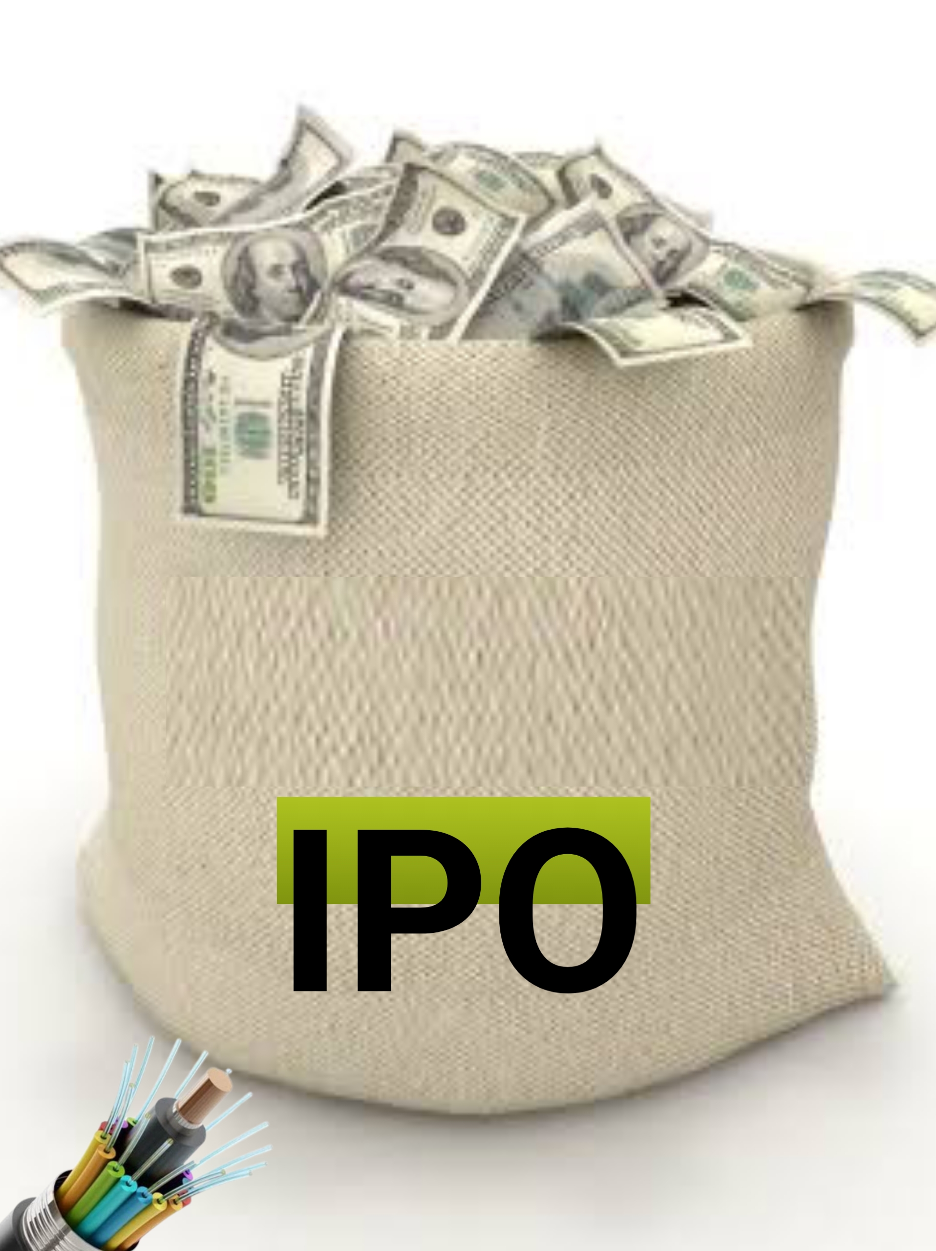 IPO Insights: Navigating Opportunities Amidst Financial Challenges